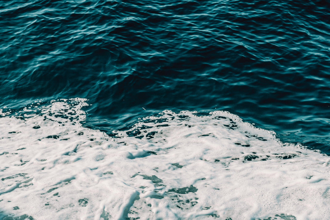 Preparing for Potential Port Strikes – How Businesses Can Navigate Supply Chain Disruptions