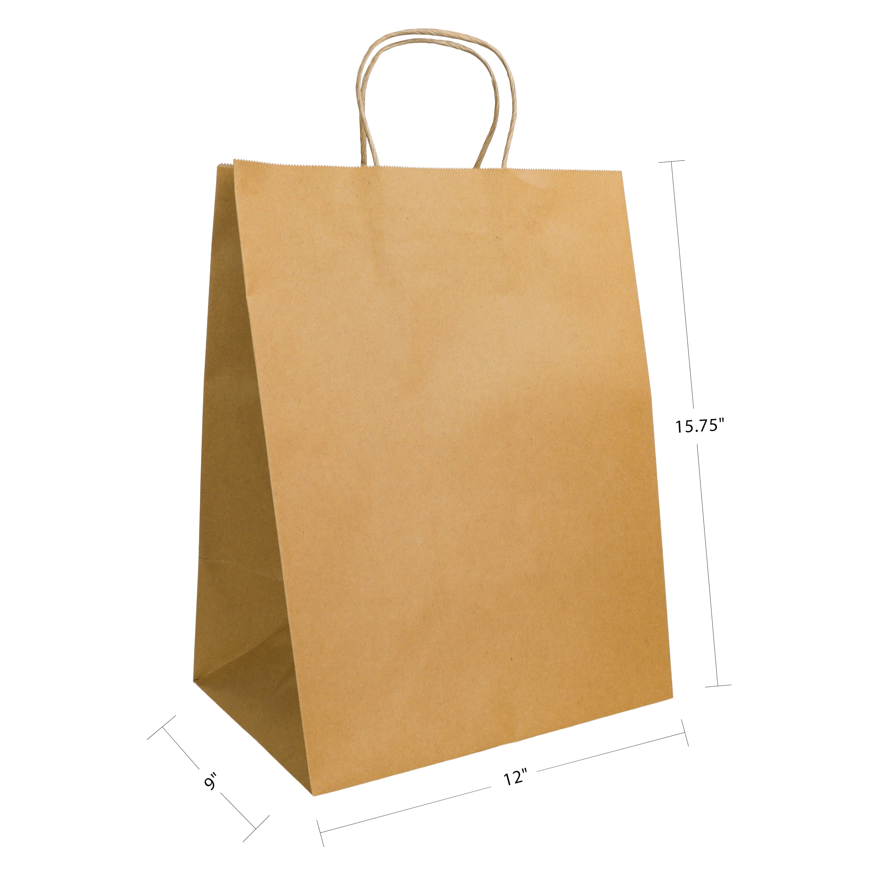 12" x 9" x 15.75" Natural/White Paper Shopping Bag with Handles (200 Pack)