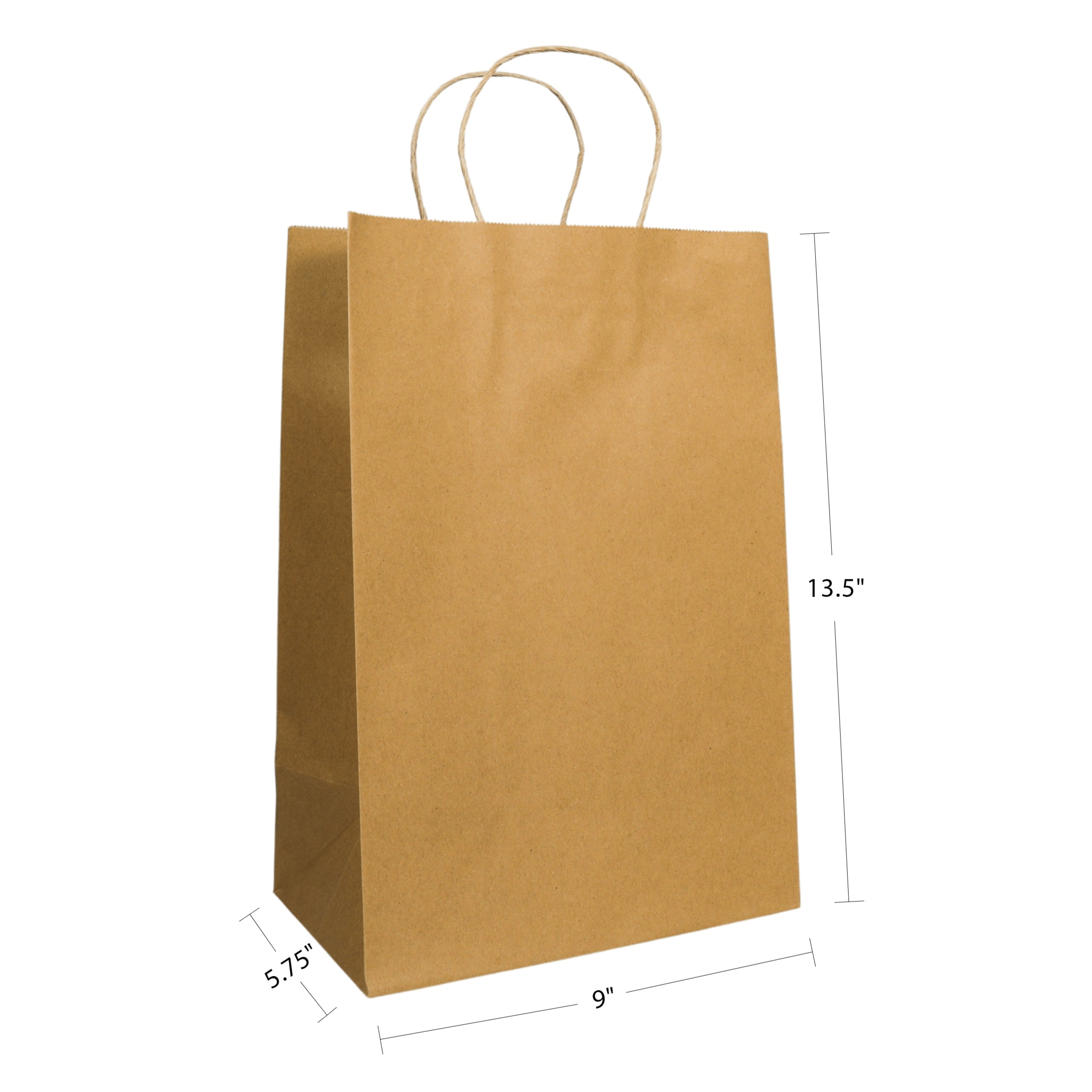 9" x 5.75" x 13.5" Natural/White Paper Shopping Bag with Handles (250 Pack)