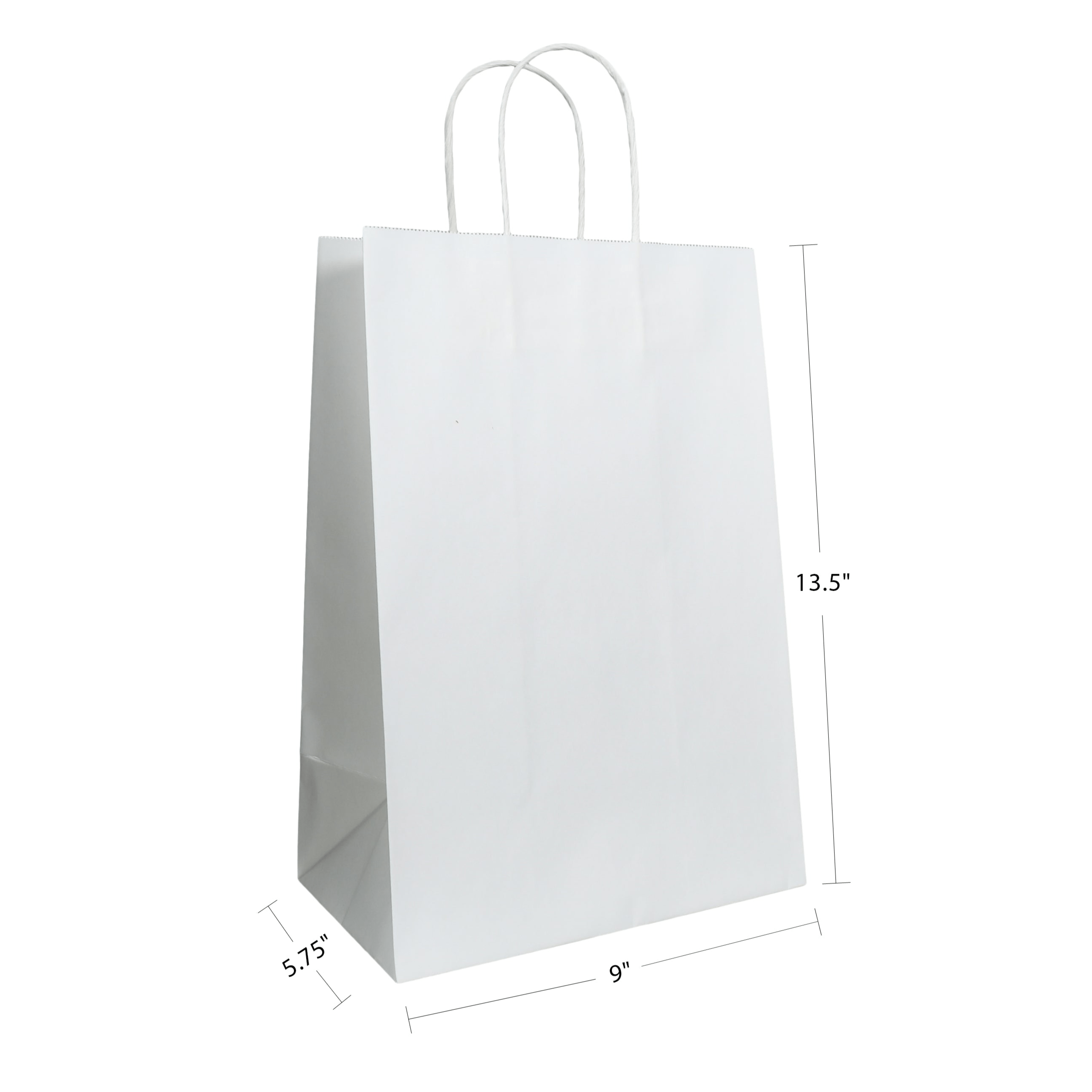 9" x 5.75" x 13.5" Natural/White Paper Shopping Bag with Handles (250 Pack)